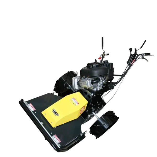 Robot Rasaerba