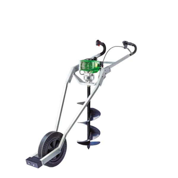 Motocarriole